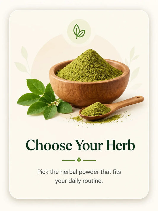 How Moringa Powder Is Made: From Fresh Leaves to Fine Powder