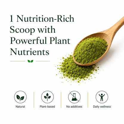 Moringa Leaf Powder | 100% Pure & Natural | WellYamri