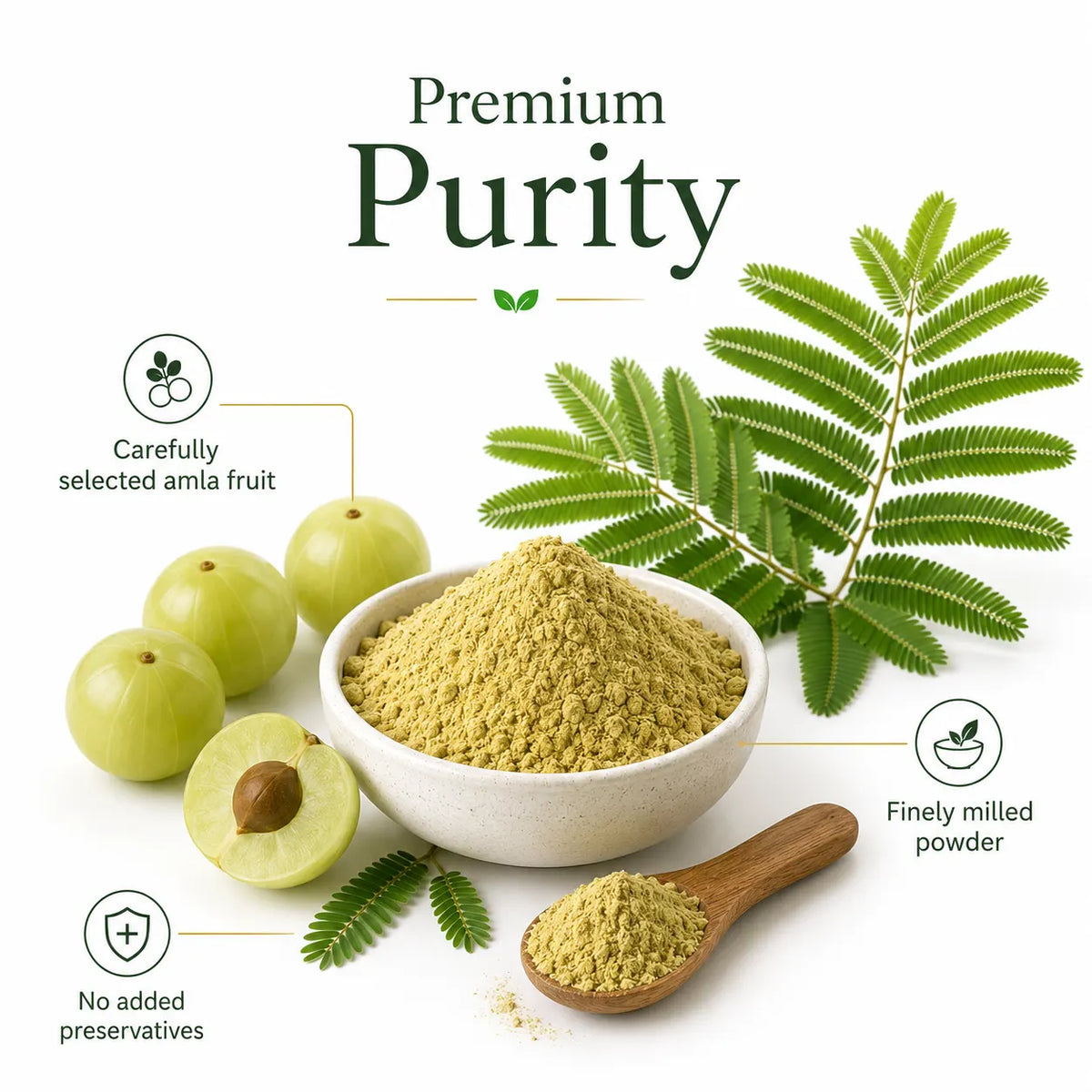 Wellyamri Amla Powder