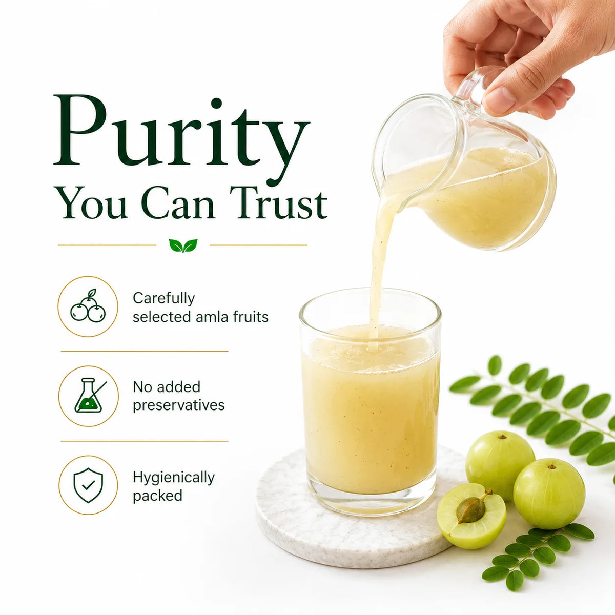 Wellyamri Amla Powder
