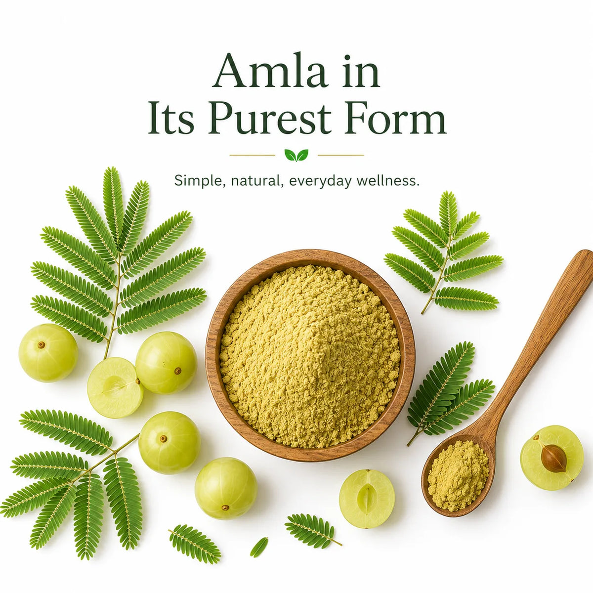 Wellyamri Amla Powder
