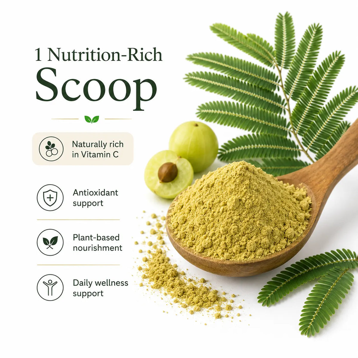 Wellyamri Amla Powder